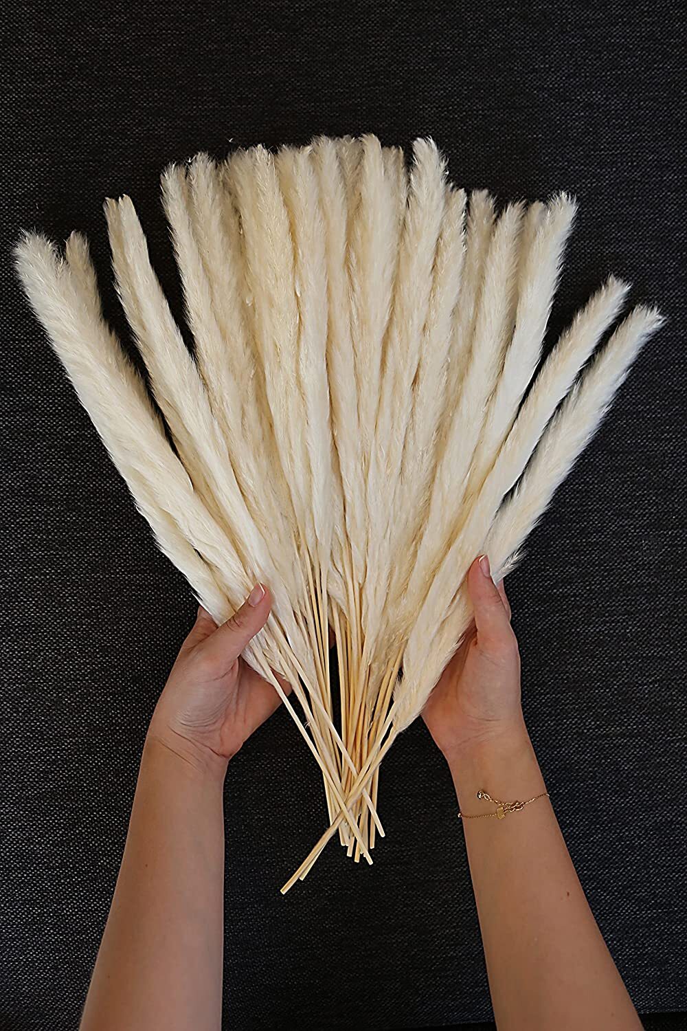 Luxury Box Protected Natural Pampas Grass Plant 30 Pieces 17” Dried Cake Decor