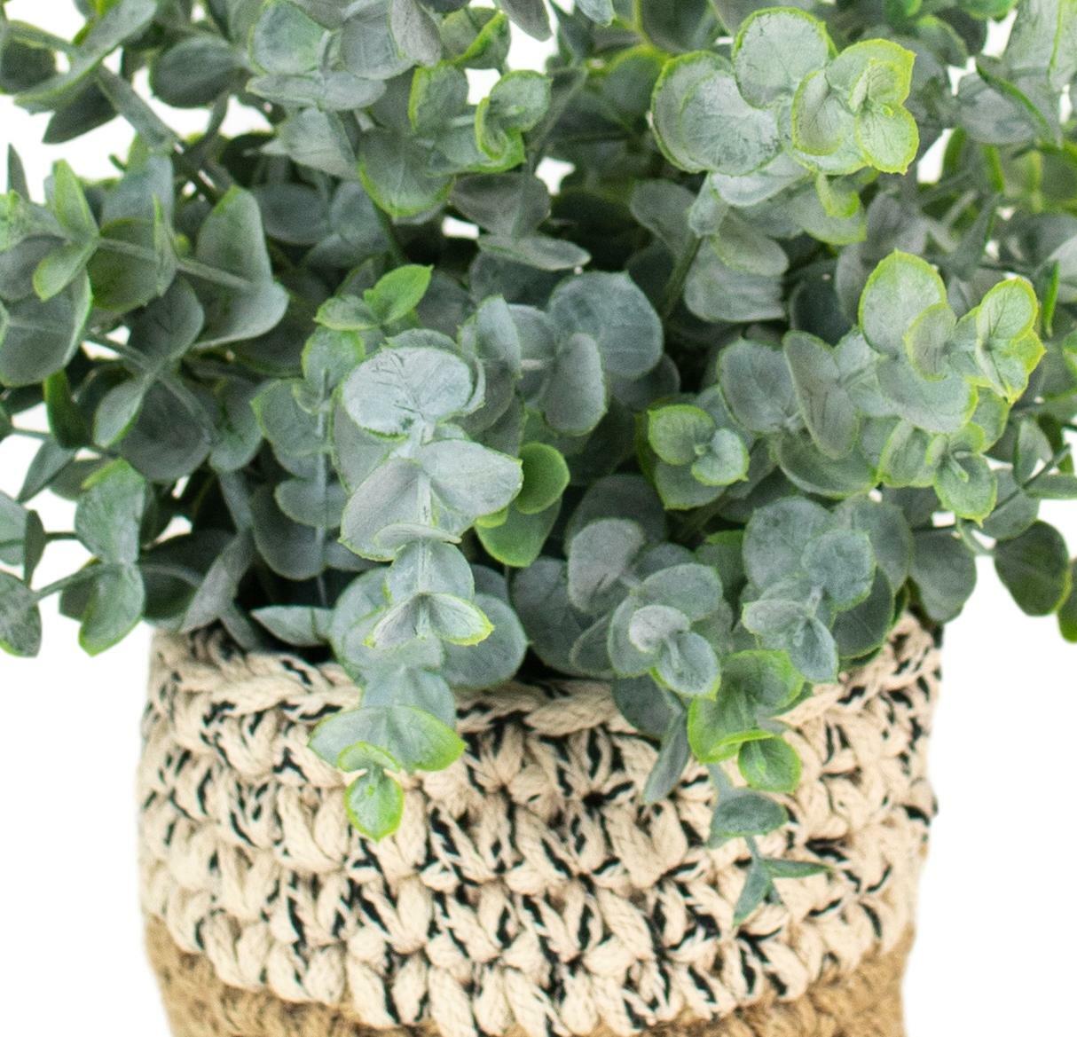 Set Three Faux Floral Eucalyptus Plants Round Woven Pots Permanent Greenery Pots
