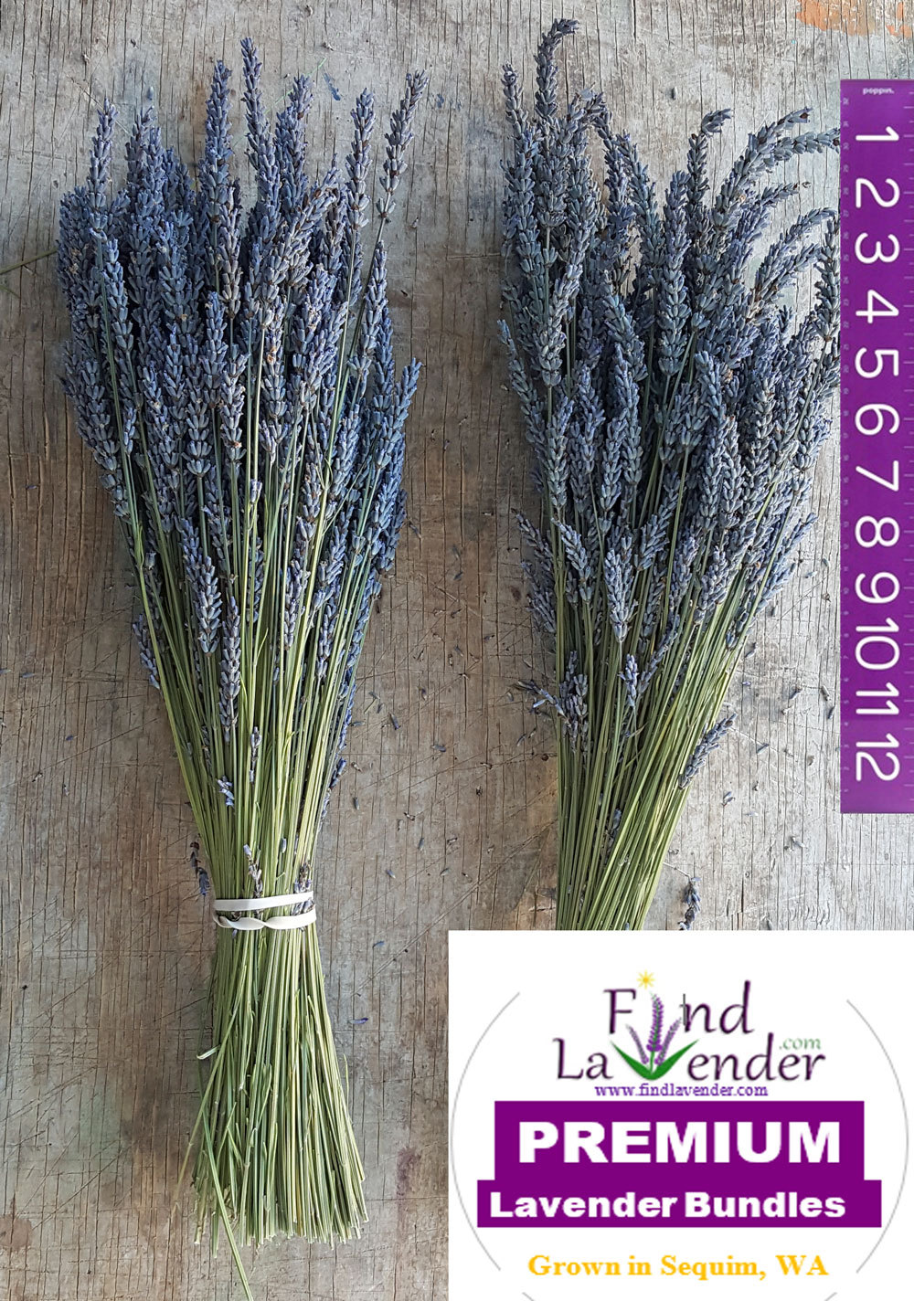 Lavender Dried Premium Bundles (Grosso) – 20″ to 24″ L – From the latest harvest