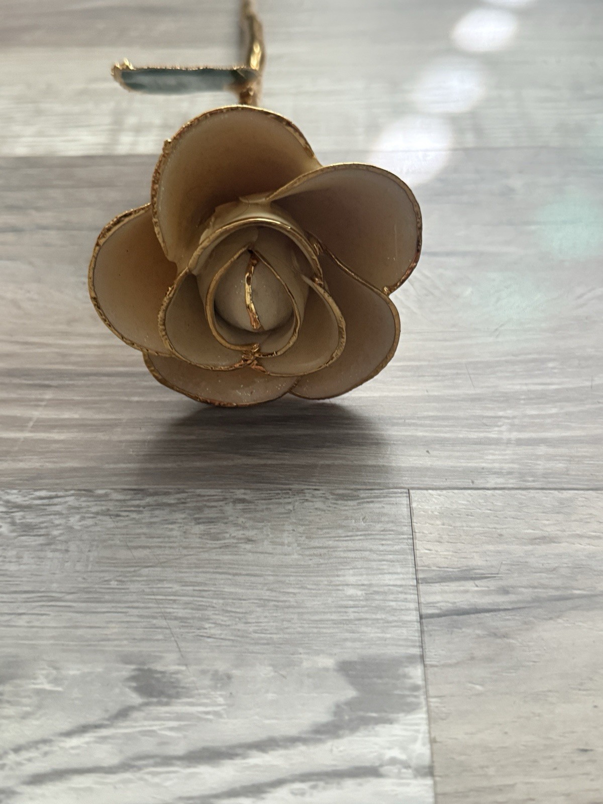 Steven Springer 24K Gold Dipped Rose
