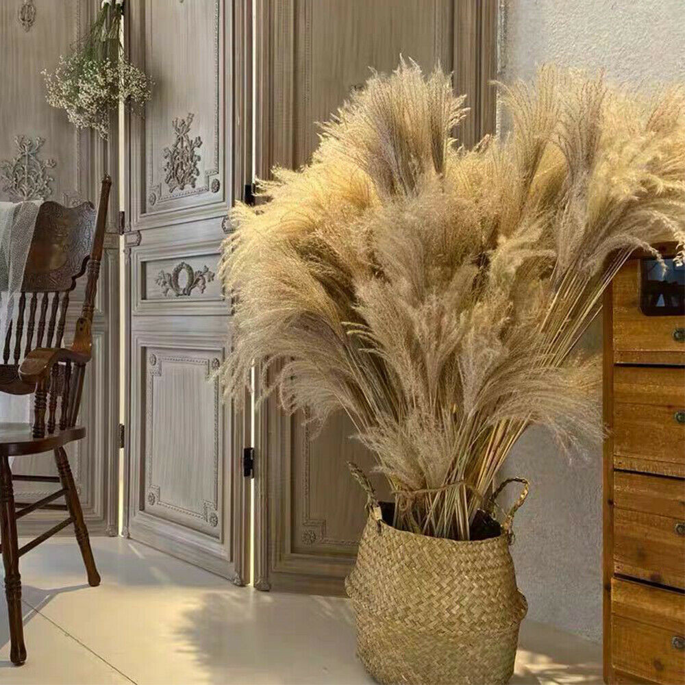 60PCS Natural Dried Pampas Grass Reed Flower Bunch Bouquets Home Wedding Decor