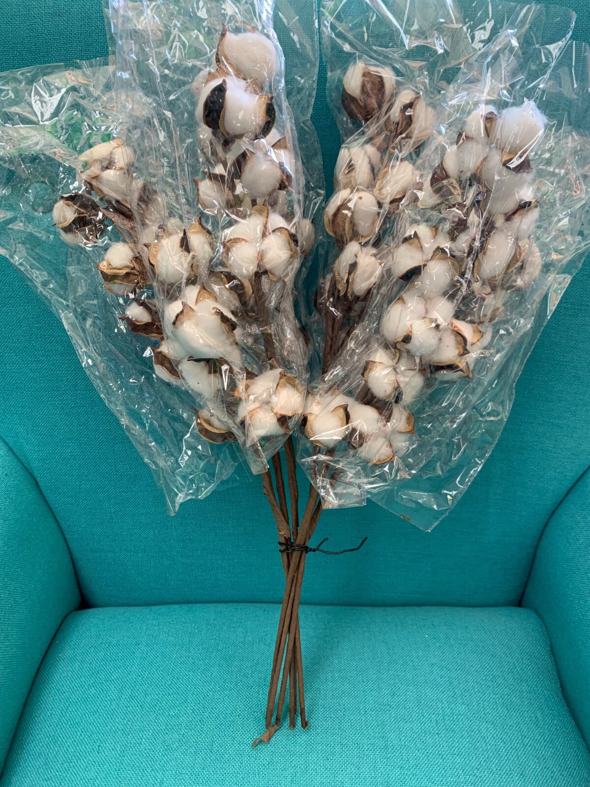 Cotton Stems Natural Dried Flower 60 Bolls in Total, 6 pack Cotton Sprigs White