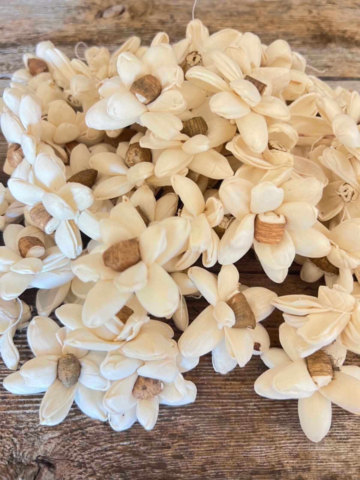 Mini Bark Daisy Sola Wood Flowers – Set of 50 – Craft Flowers
