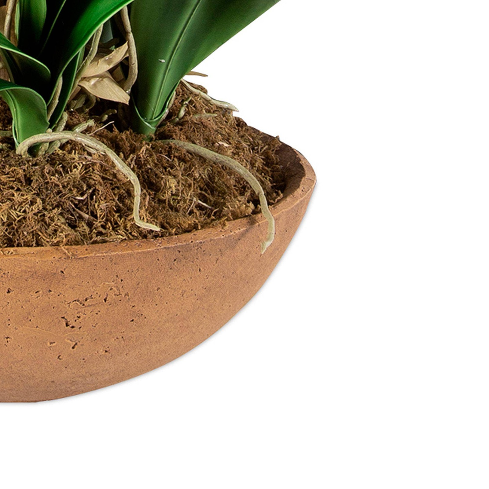 Uttermost Moth Orchid Planter Floral Arrangement