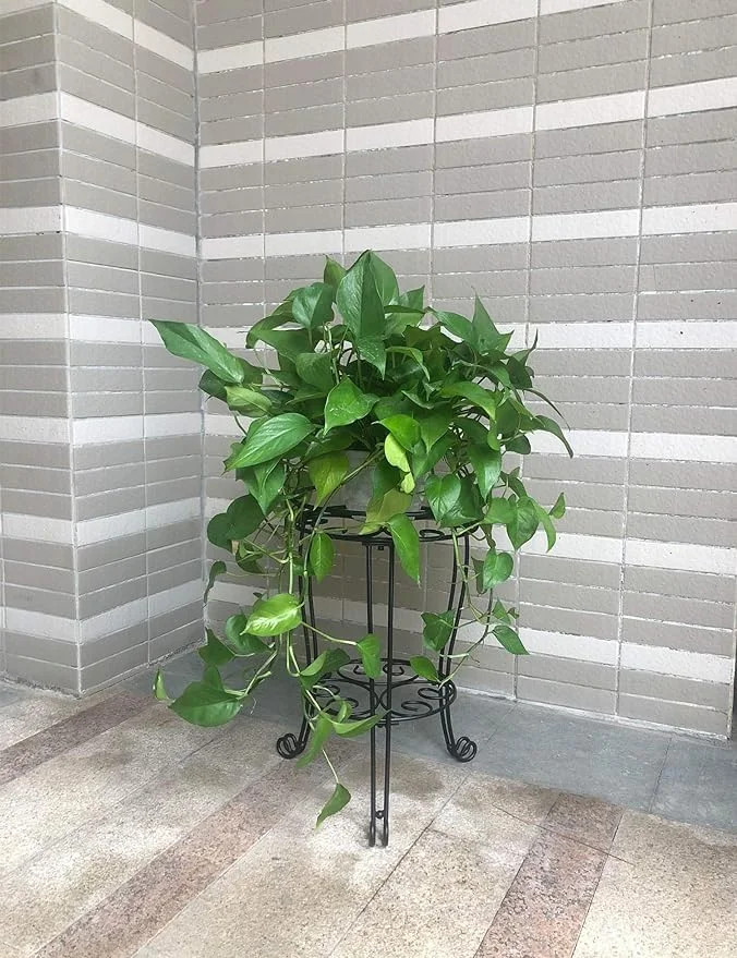 Heavy Duty Metal Plant Stand 11.8″ Indoor Outdoor Flower Pot Rack Black 18.9″