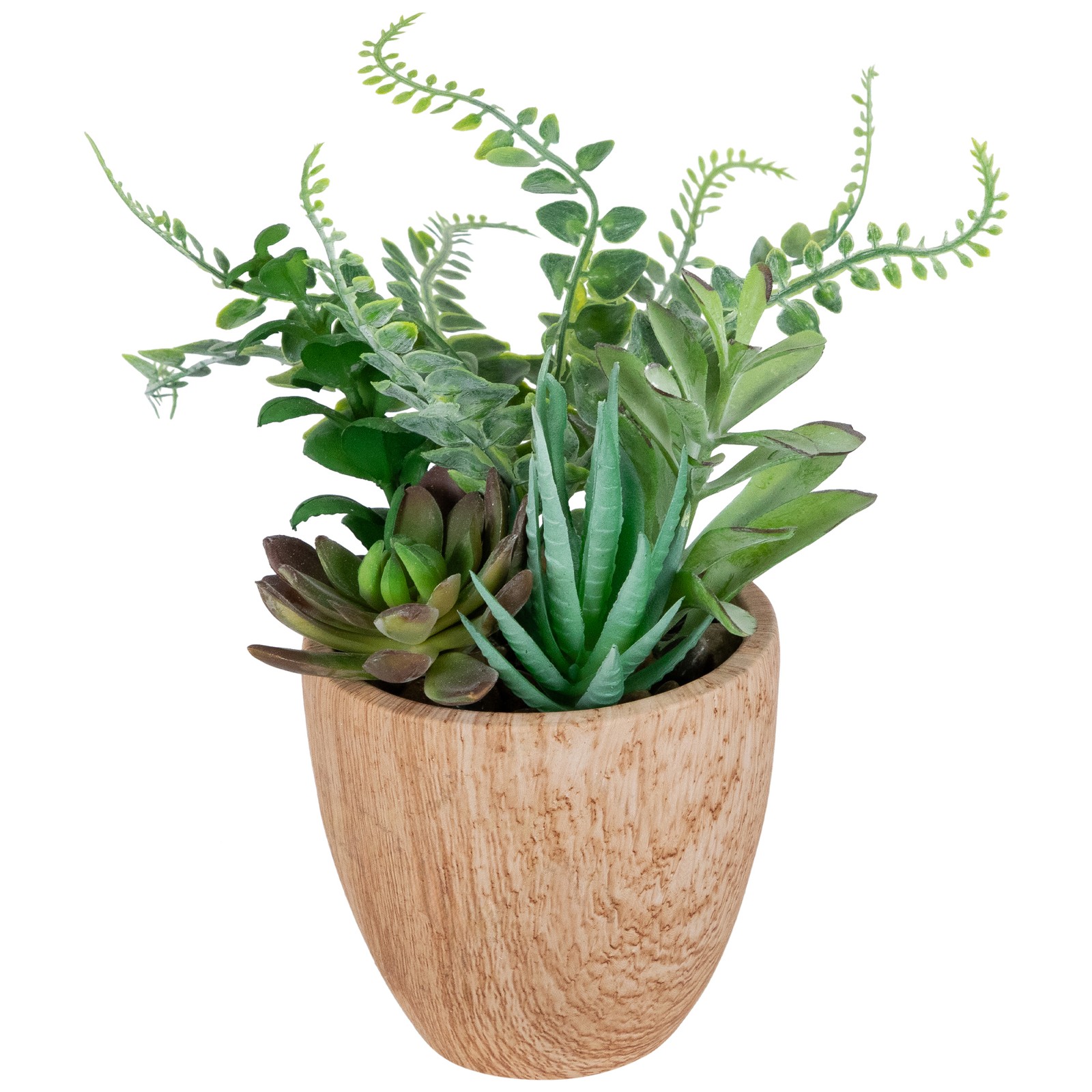 Potted Artificial Mixed Succulents and Fern Arrangement – 12″