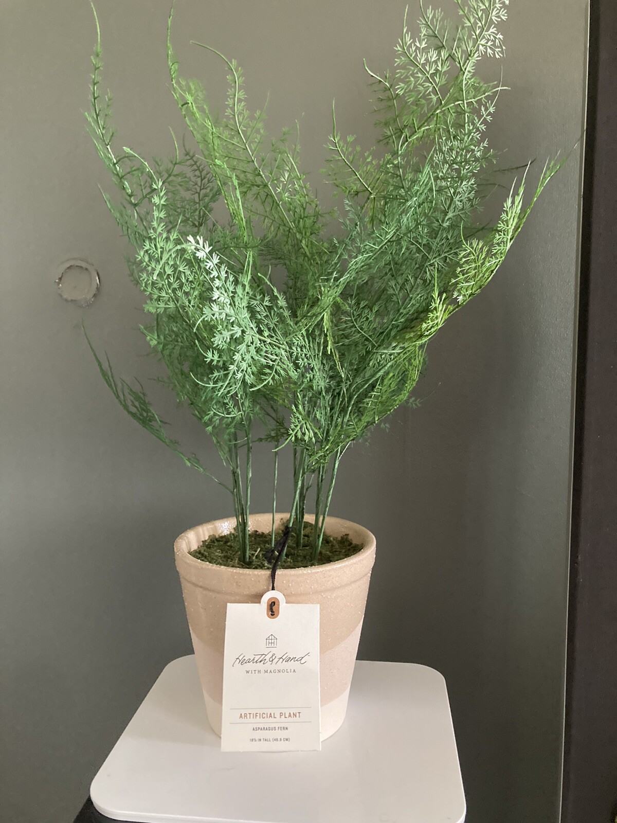 hearth and hand Artificial Plant