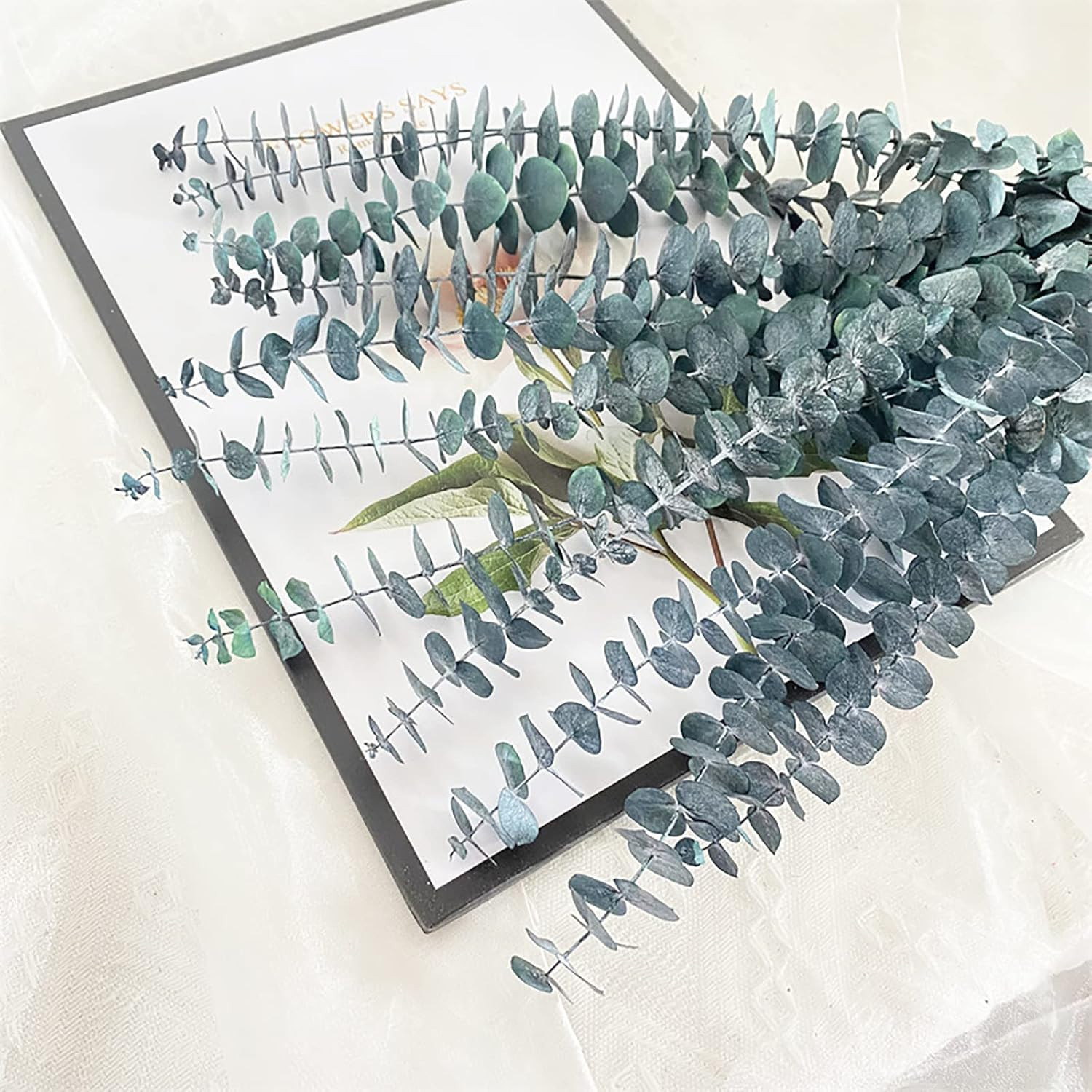 Eucalyptus for Shower 10 Pcs Hanging Dried Eucalyptu Stems 17″ Real Eucalyptus B