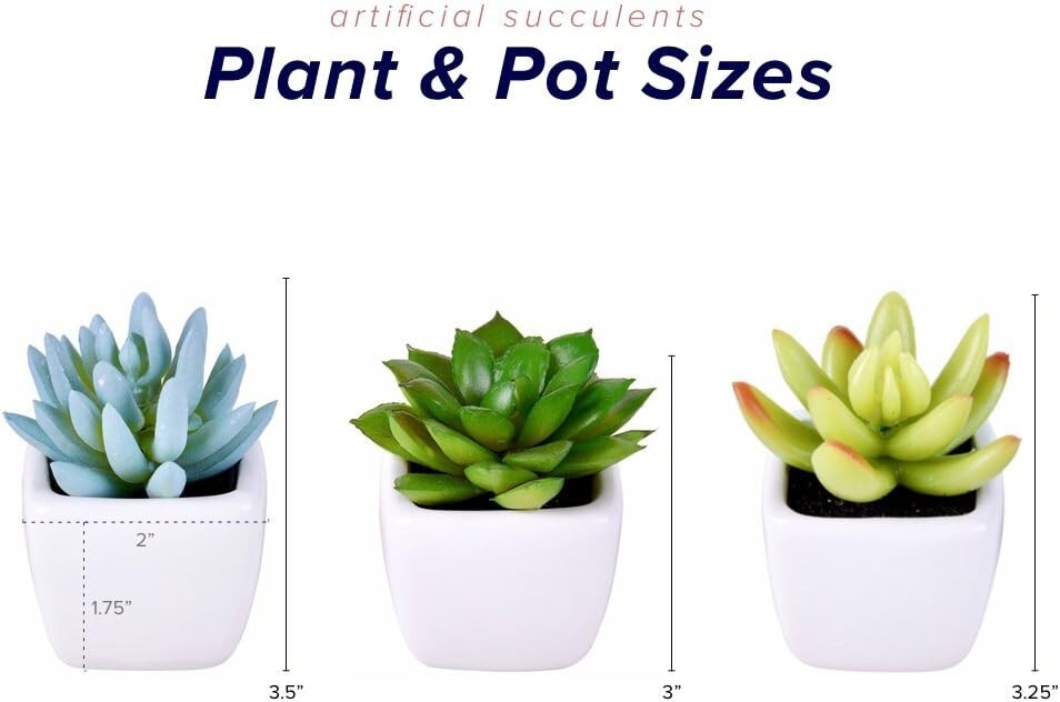 6Pcs Artificial Succulents Plants Indoor Decor in Pots Fake Succulent Plant Faux