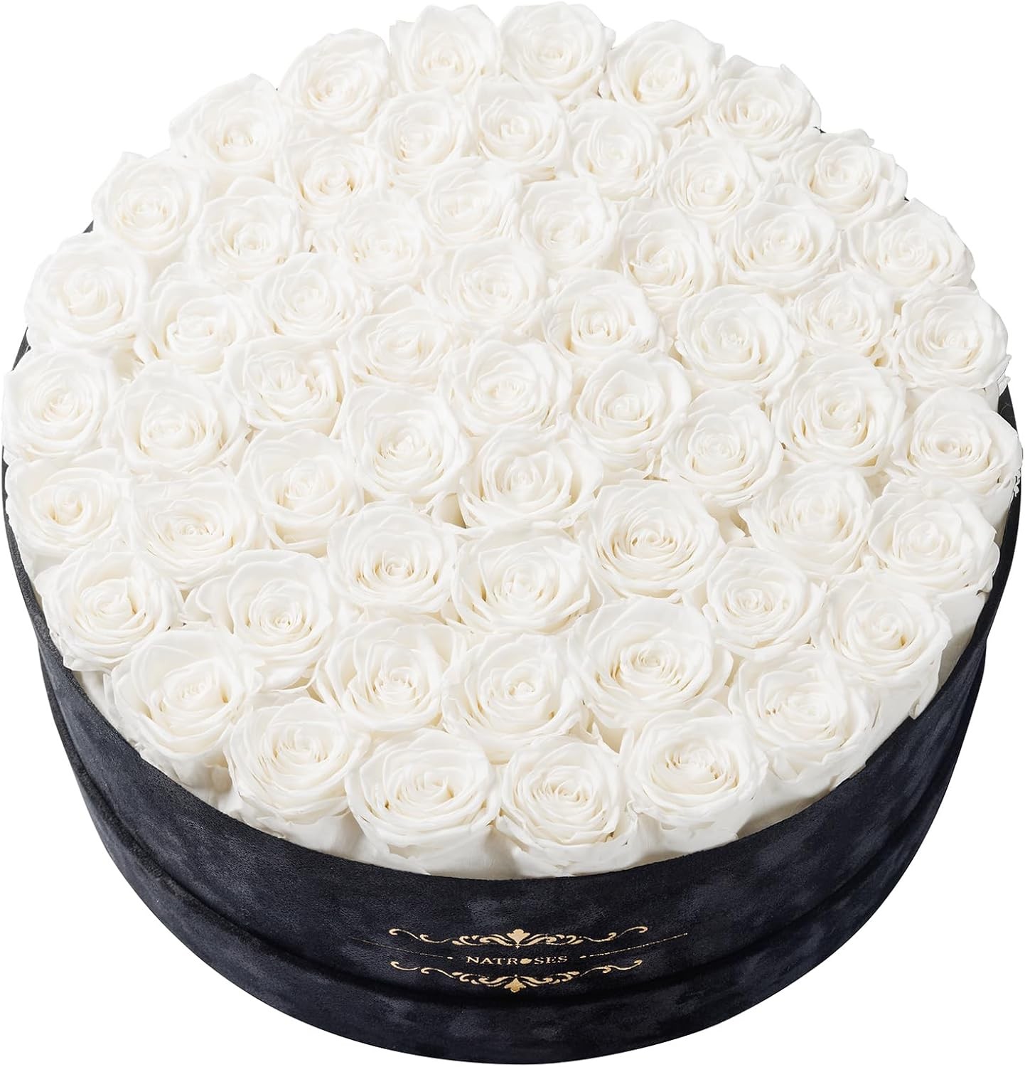 NATROSES Gifts for Her 27 Piece Forever Preserved Roses in a Box, Preserved Flow