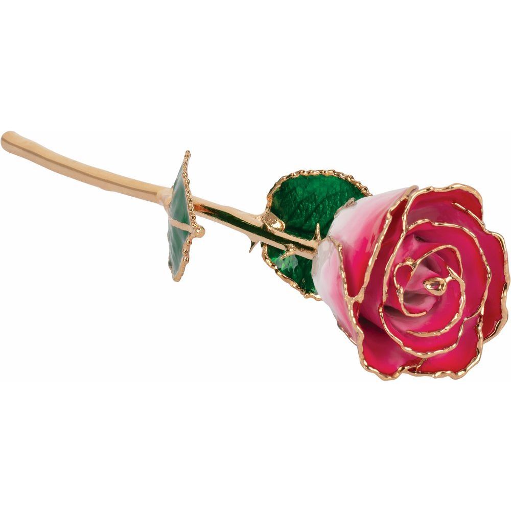 24k Gold Dipped Cream Red Lacquer Real Rose Valentine’s Day Holiday Gift