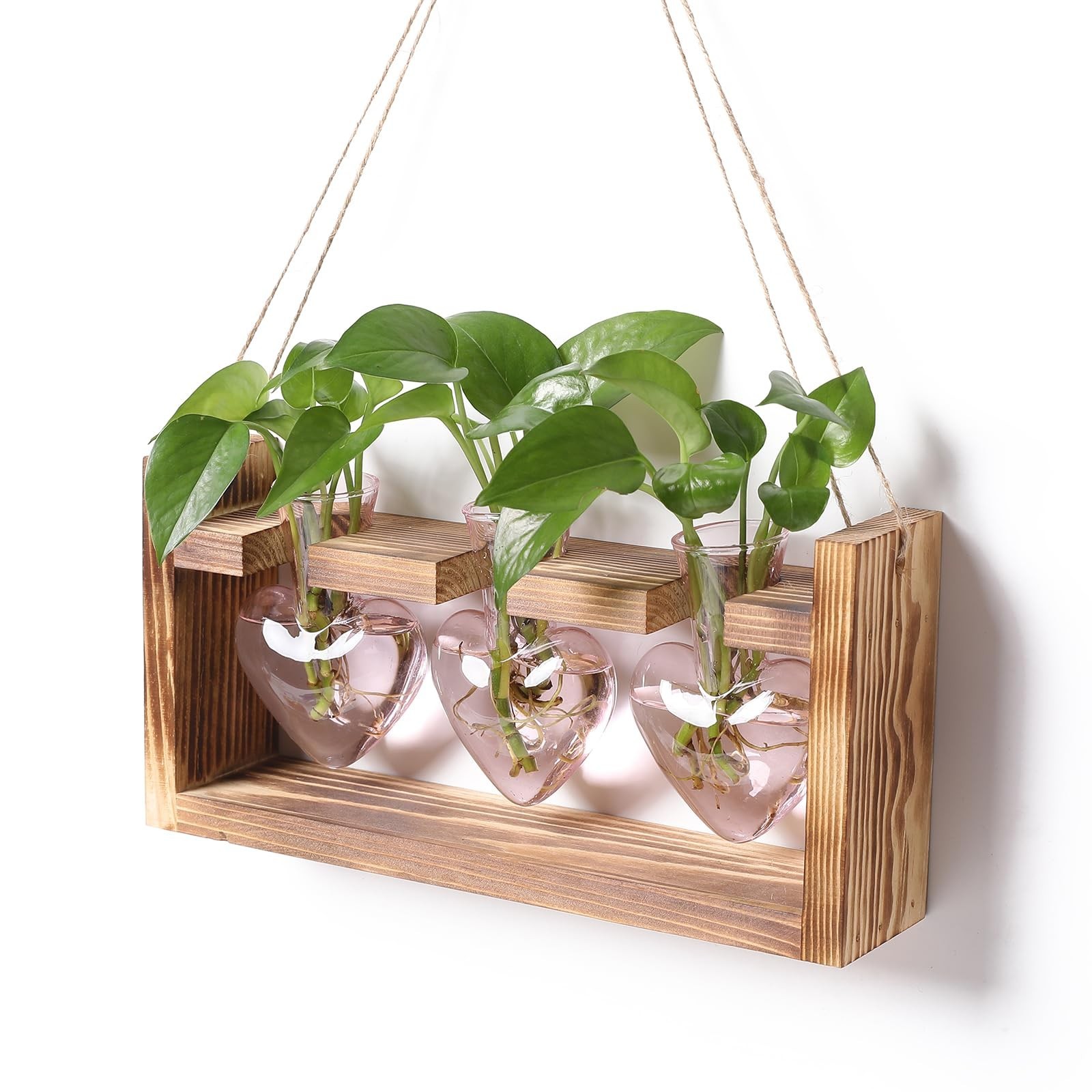 Heart Shaped Glass Vase Plant Terrarium Hydroponics Station with Wooden Stand –