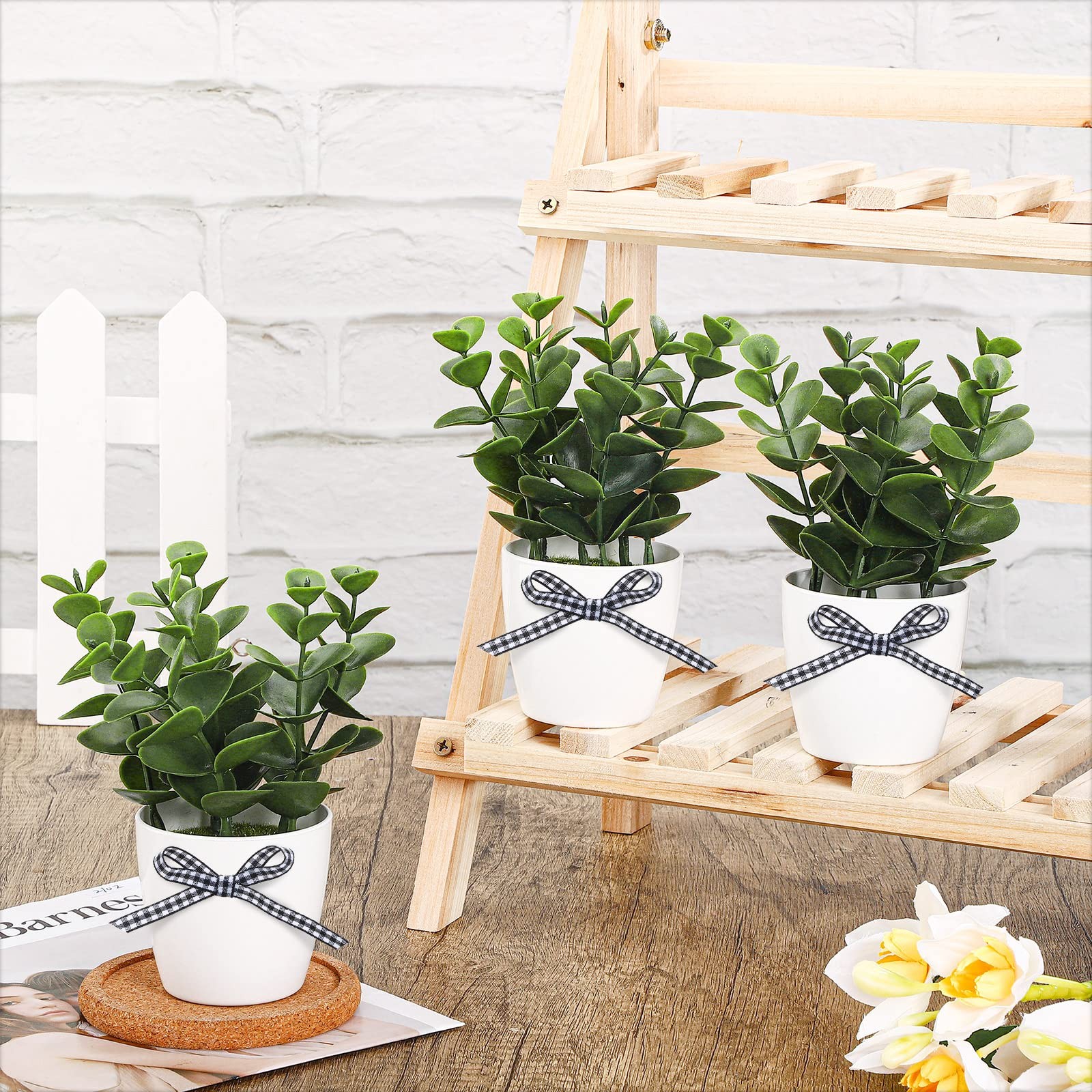 Farmhouse Tiered Tray Decor Mini Potted Eucalyptus Decor Plant Decor Items fo…