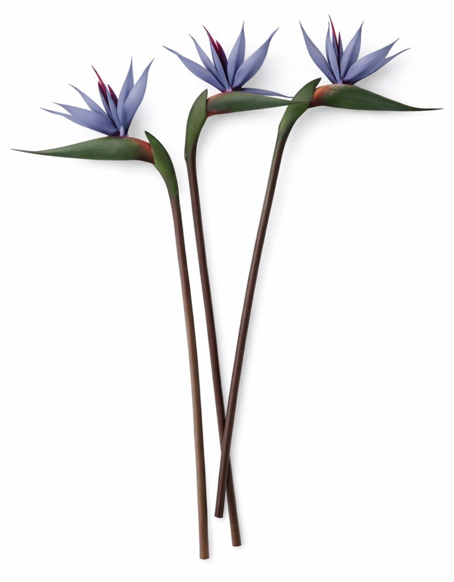 Bird of Paradise Stems Set of 3 Faux Tropical Flowers 30 Inch Tall Moody Blue Pu