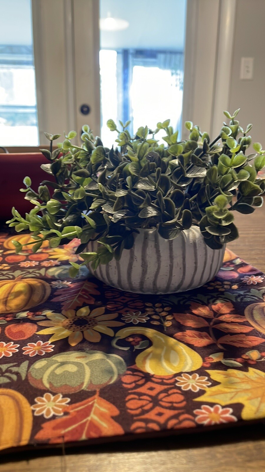 Fake Accent Plant