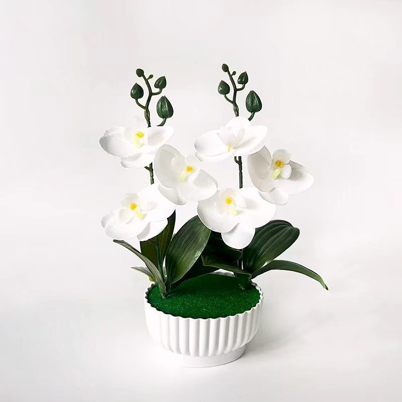 Phalaenopsis Orchid Simulation with Shell Shaped Pot for Home Office Use