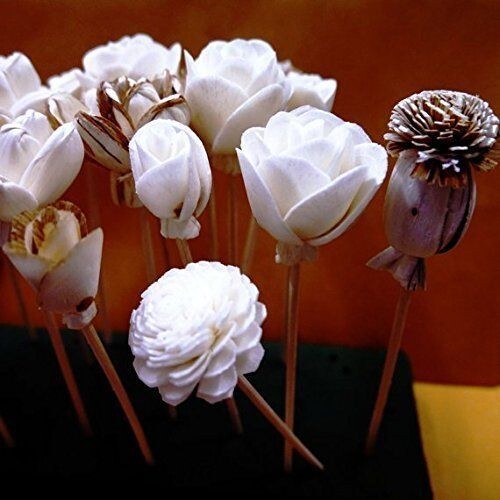 20 Balsa Artificial Sola Wood Flower with 5in. Rattan Reeds, Mix of Flowers