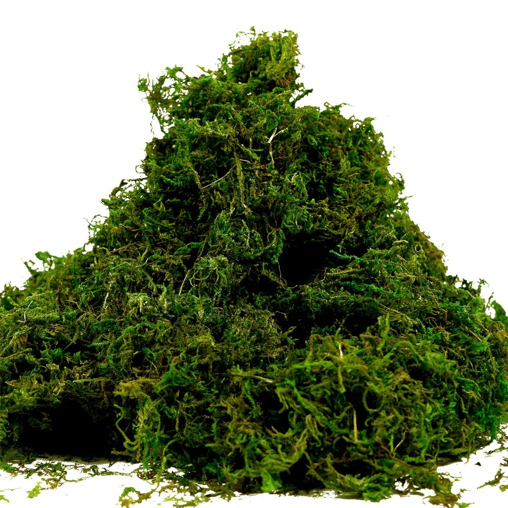 Fake Moss for Crafts Artificial Green Moss for Potted Plants 3.5 Oz Decor