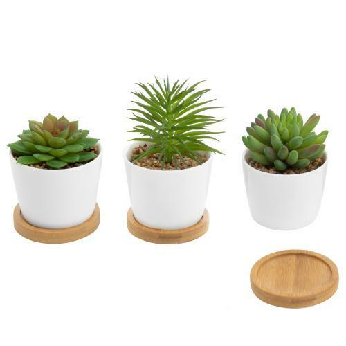 Set of 3 Artificial Succulent Plants in White Ceramic Pots with Bamboo Saucers