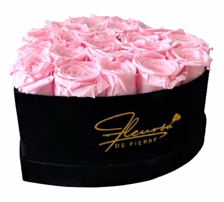 24 Pink Rose Arrangement in Velvet Box