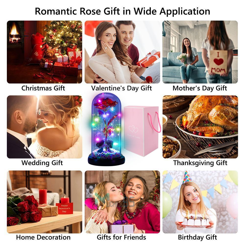 Christmas Rose Gift for Women Mom Girlfriend Wife Valentines Birthday Presents