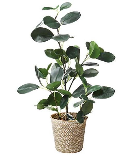 Artificial Ficus Tree Small Fake Plants in Weaved Pot 20″ Height for 1 Green