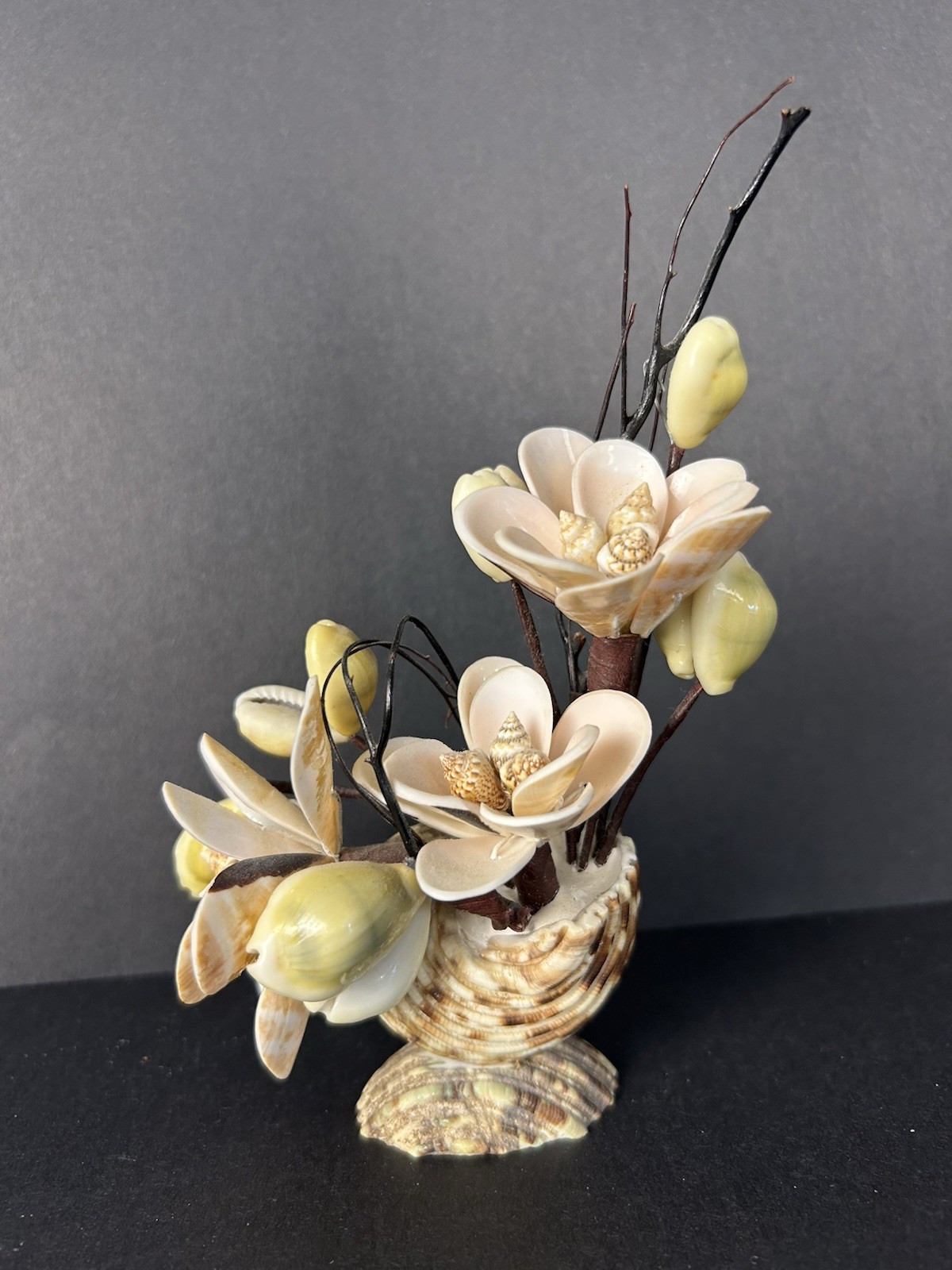 Vintage Cottagecore Kitschy Hand Made Sea Shell Floral Arrangement 6”x4”