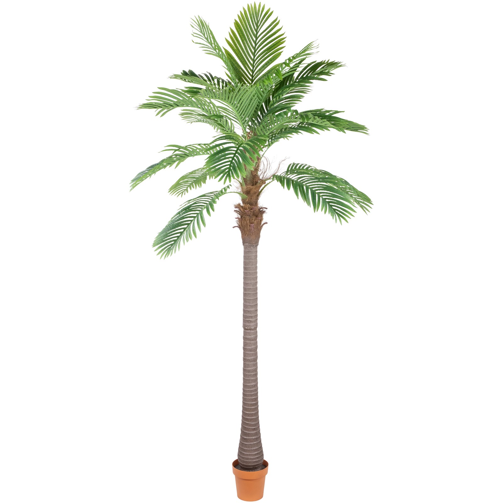 Northlight 8′ Potted Artificial Brown and Green Phoenix Palm Tree