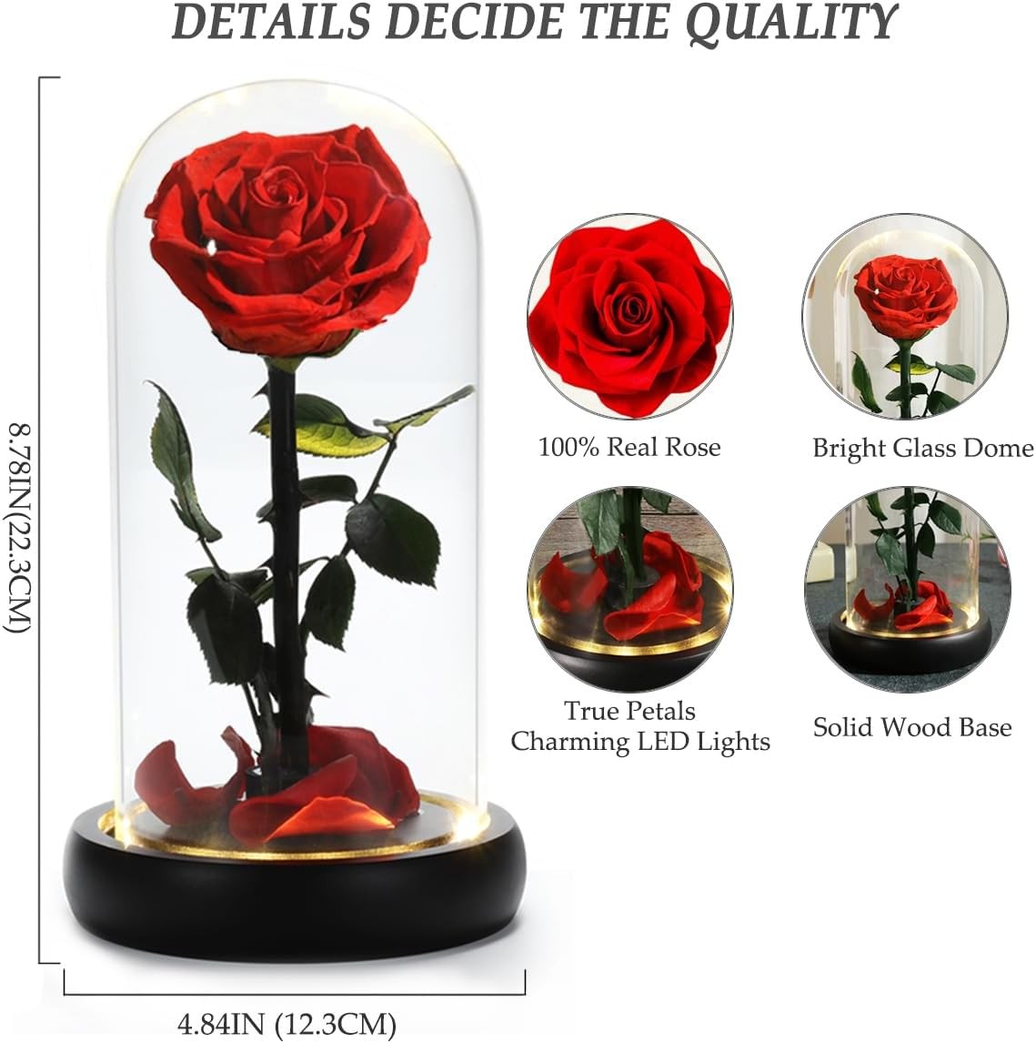 Valentines Day Gifts for Her, Beauty and The Beast Rose,Preserved Real Rose in G