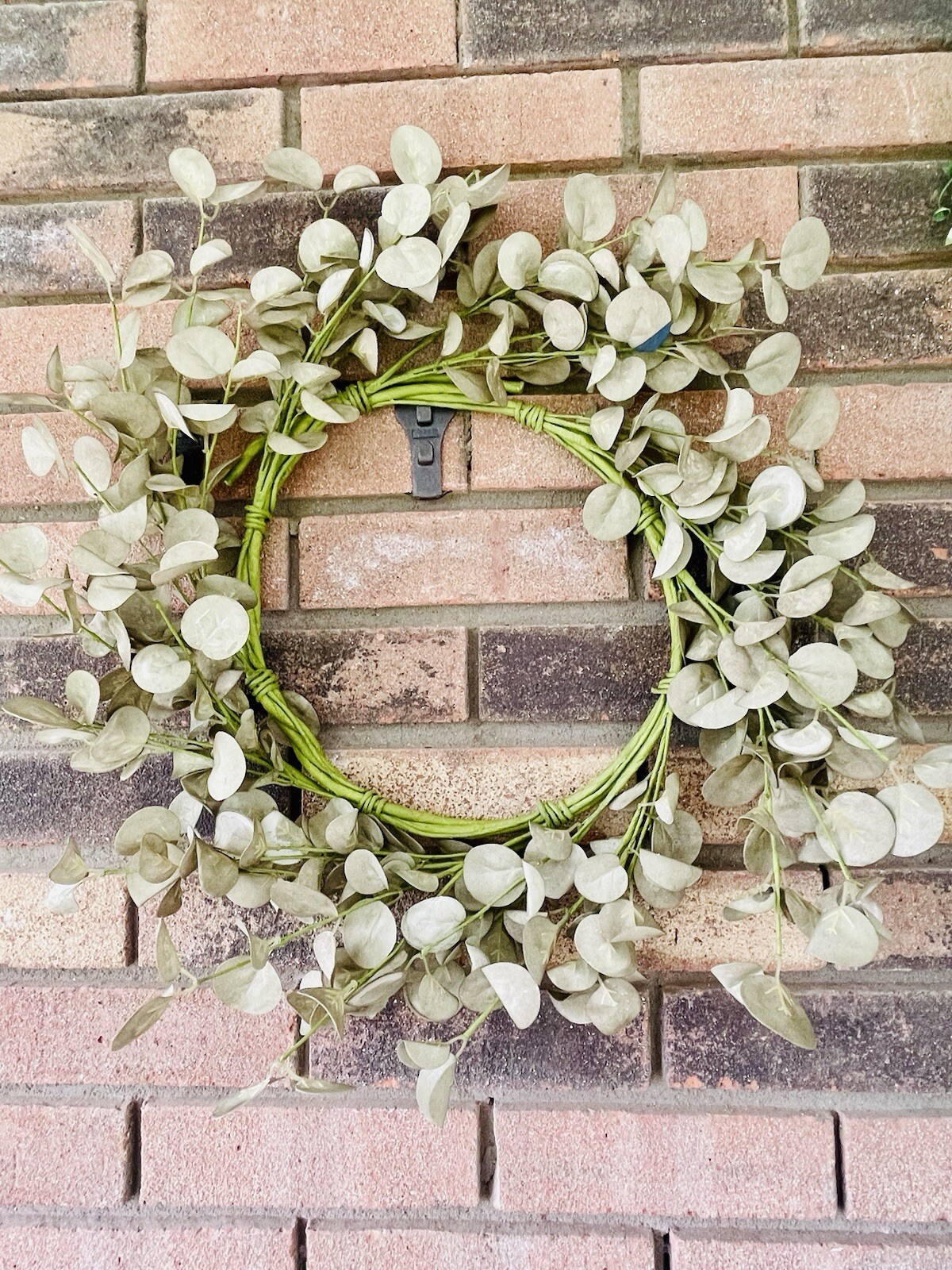 Foamy Silver Dollar Wreath, Sage, 20”