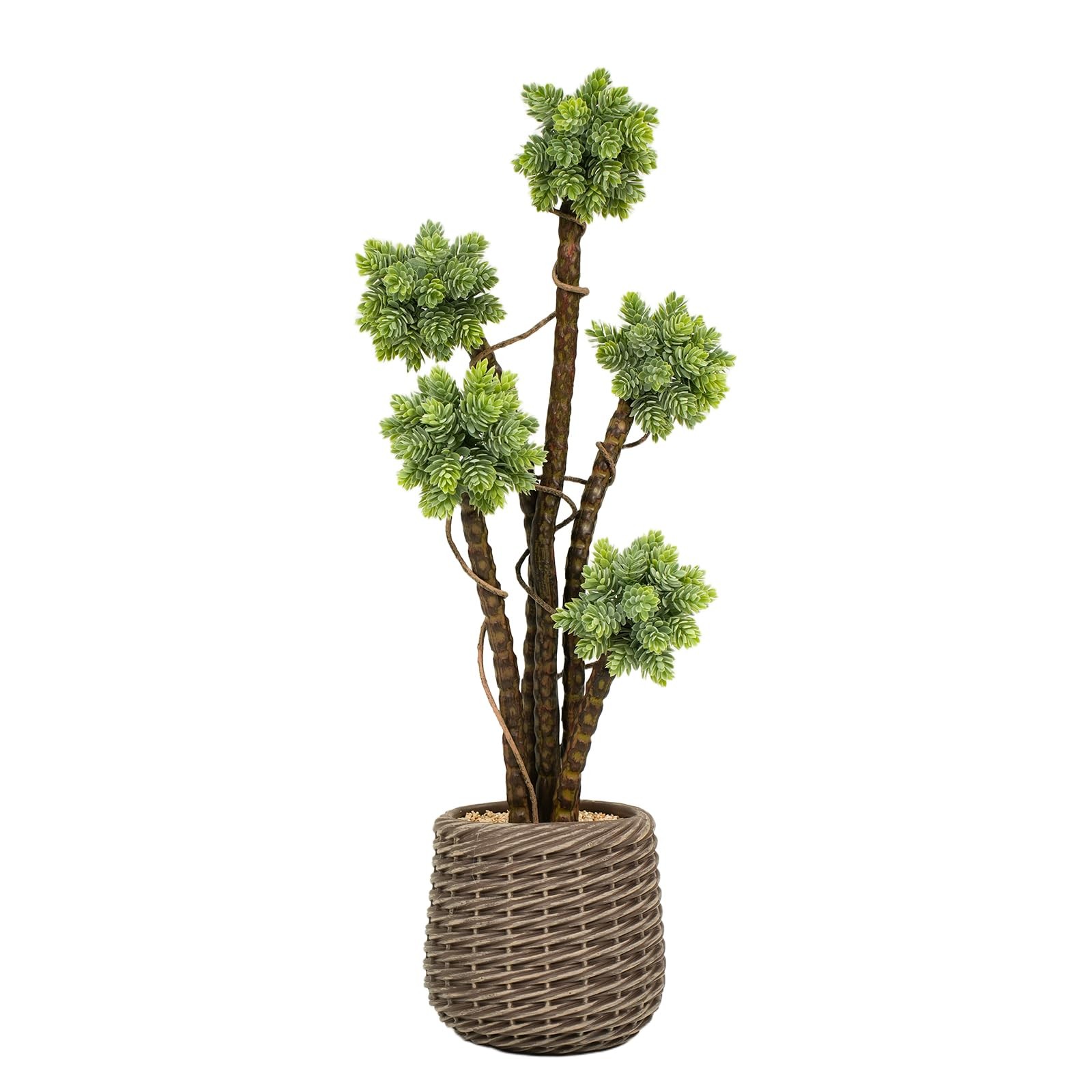 Artificial Succulents Plant 2.5ft, Large Faux Floor Plant with Brown Pot, Fak…