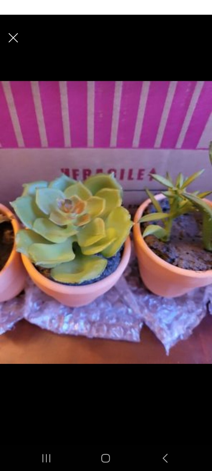 Set Of 8 Mini Faux Succulents With Terracotta Pots perfect for wedding favors