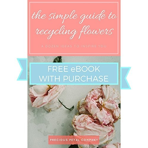 Flower Food Substitute for Fresh Cut Flowers | Keeps Water Clean & Clear | 2 Pac