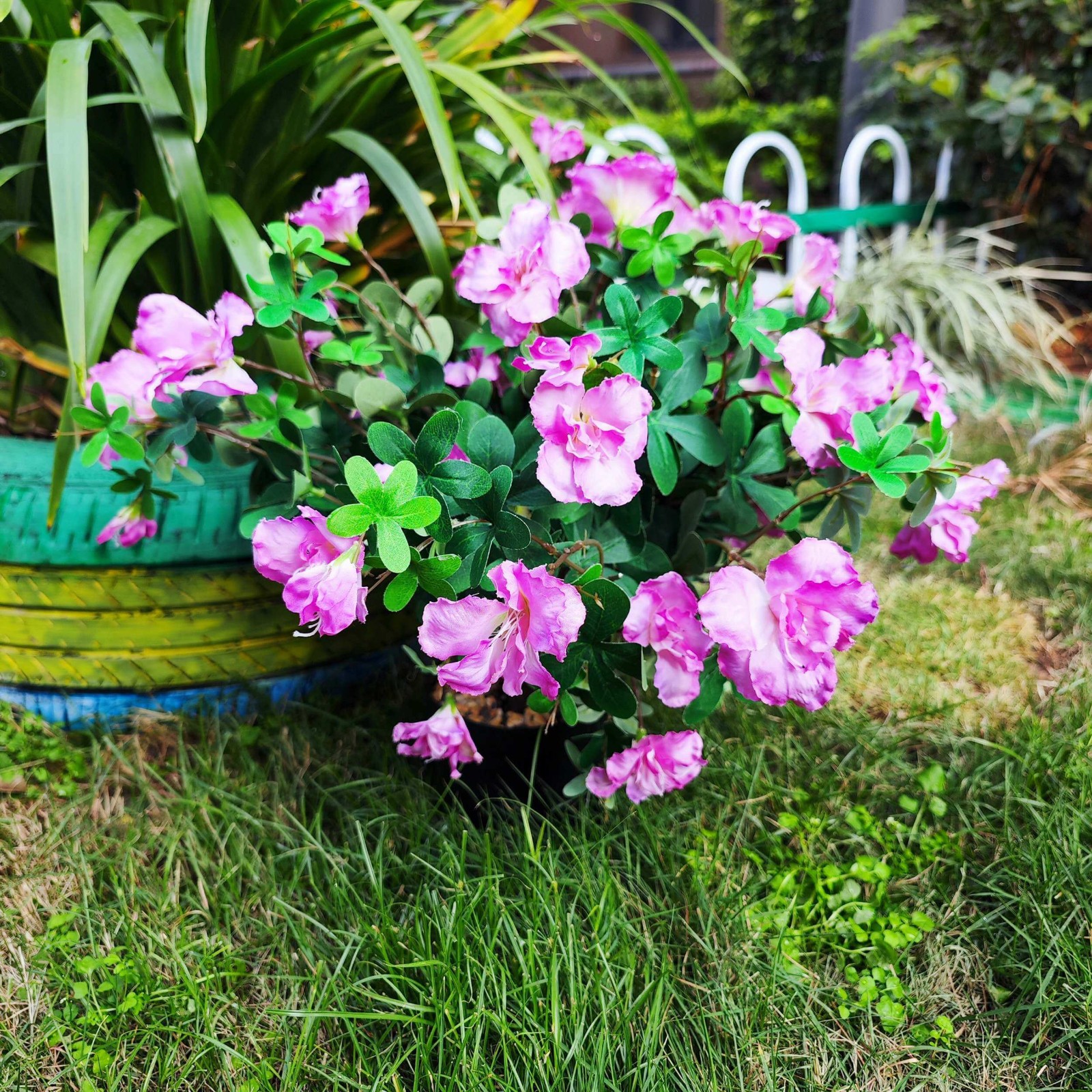 48 Large Blooms Artificial Potted Azalea Flowers ,UV Resistant , Realistic Decor