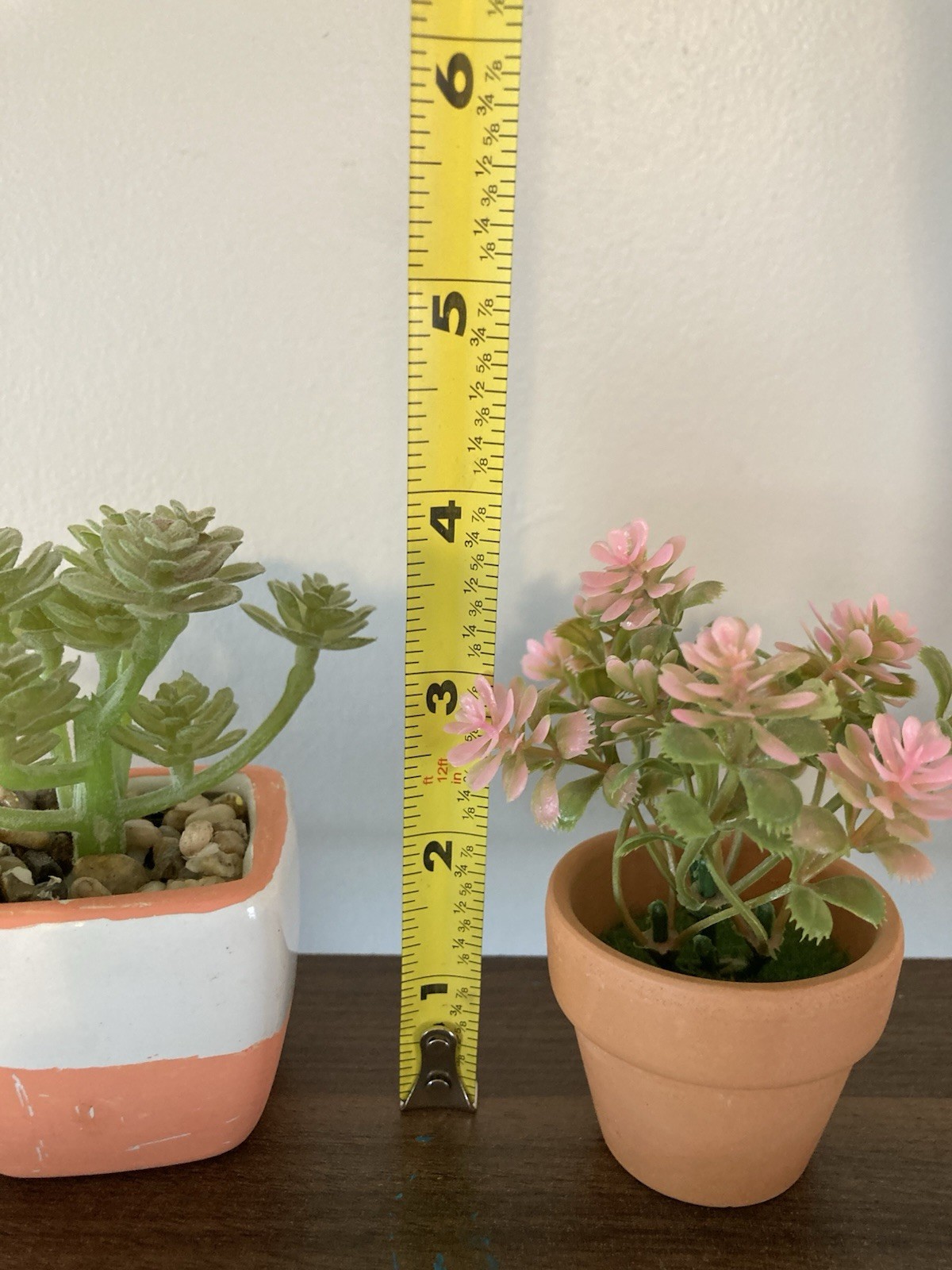 Succulents, Faux Small And Cute