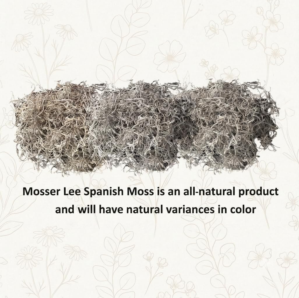 Rustic & Organic Spanish Moss for Houseplants, Crafts & Floral Arrangements