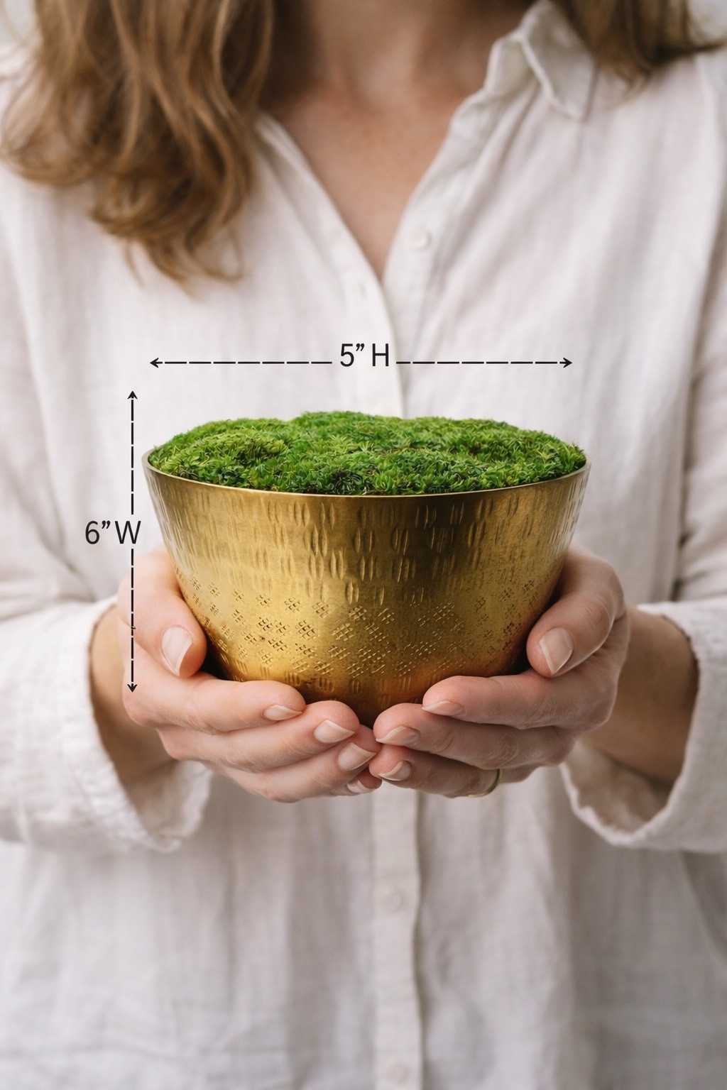 Preserved Moss Brass Bowl 5” x 6” Handmade Botanical Decor · No Maintenance Moss