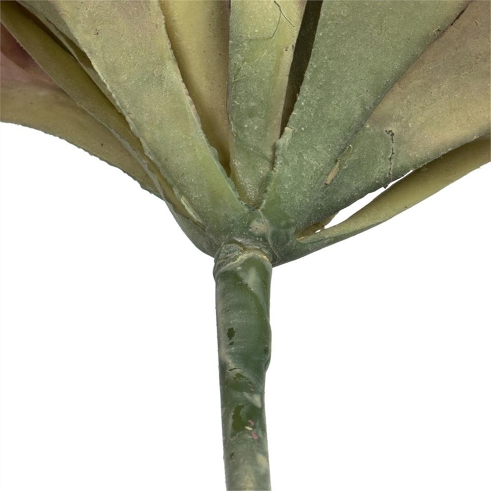 Vickerman 7.5″ Plastic Artificial Eichornia Succulents in Multi-Color (Set of 6)