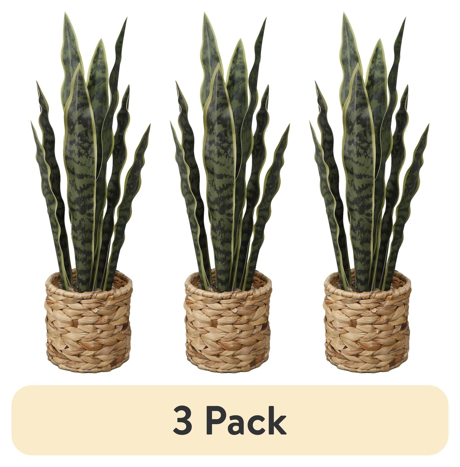 Flora Bunda 24.3″ Artificial Snake Plant in Rattan Basket