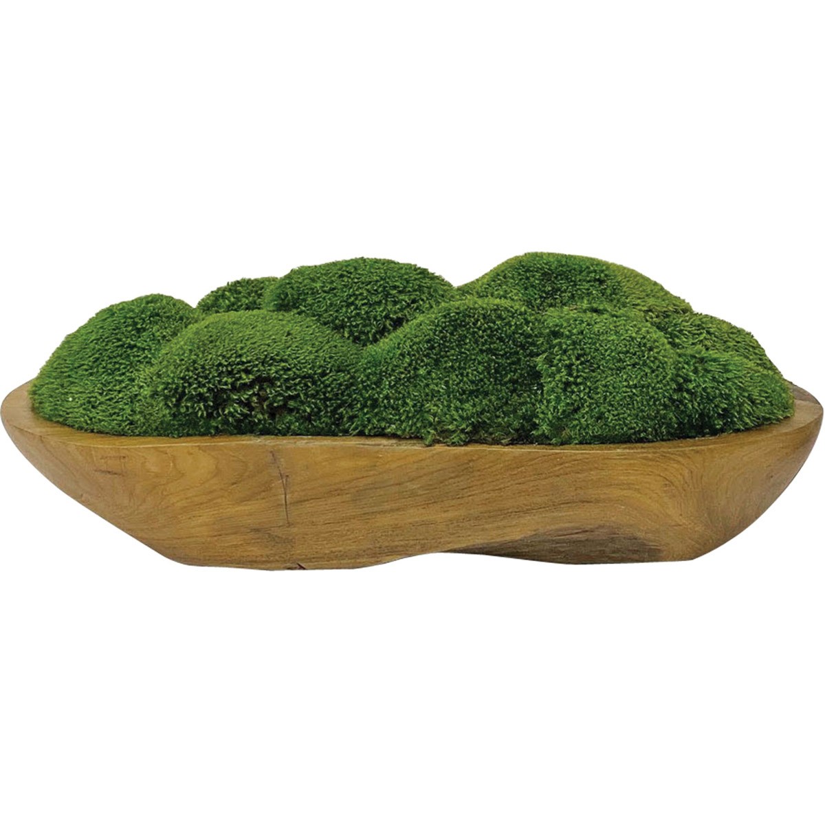 Uttermost 60180 Kinsale Moss with Teak Wood Bowl Moss Centerpiece