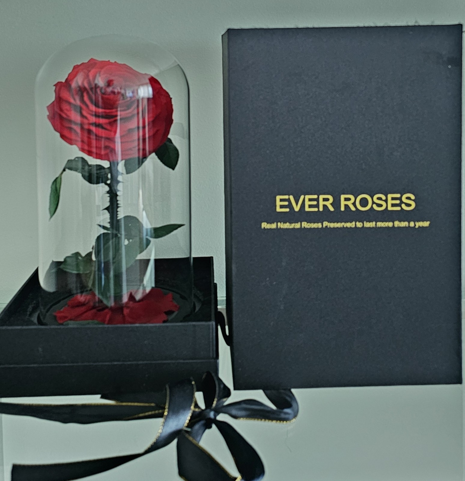Ever Roses Preserved Real Natural Red Rose in Glass Dome Beauty and the Beast St