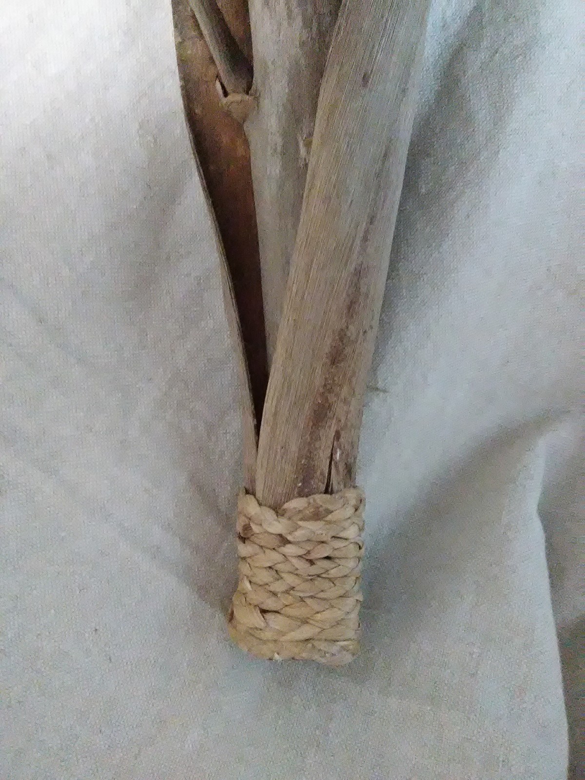 Dried coconut flower bundle decor table/wall accent