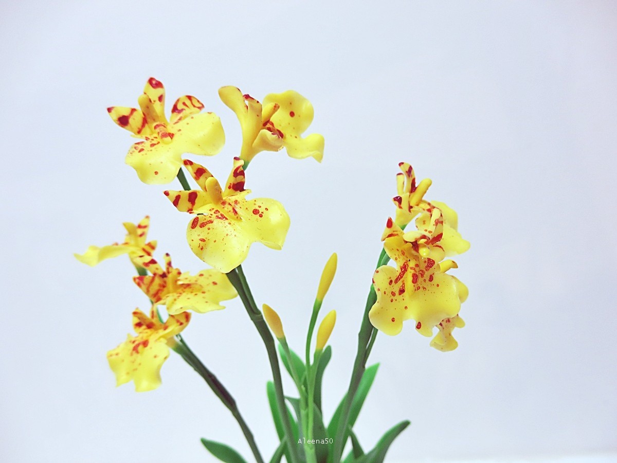 US Stock 7″H Handmade Air-Dry-Clay Miniature Dancing-Lady Orchid Arranged in Pot
