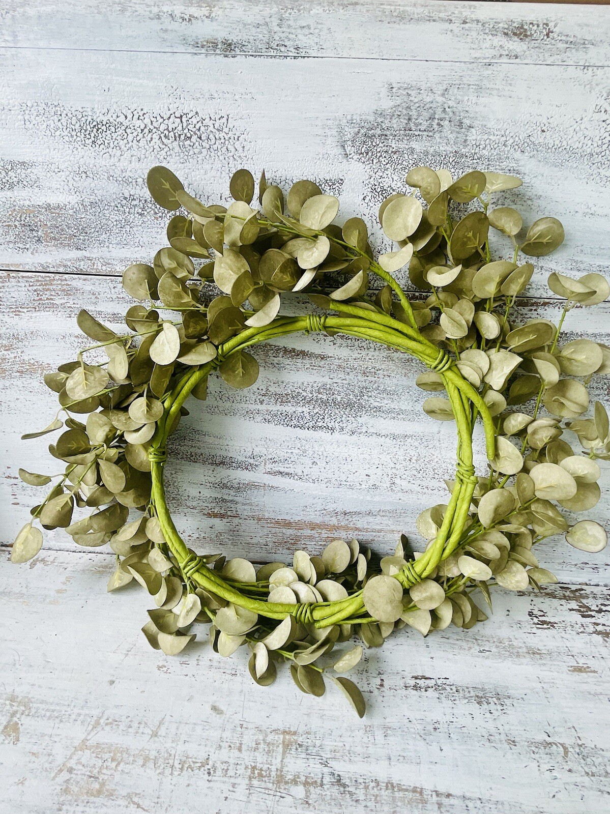 Foamy Silver Dollar Wreath, Sage, 20”