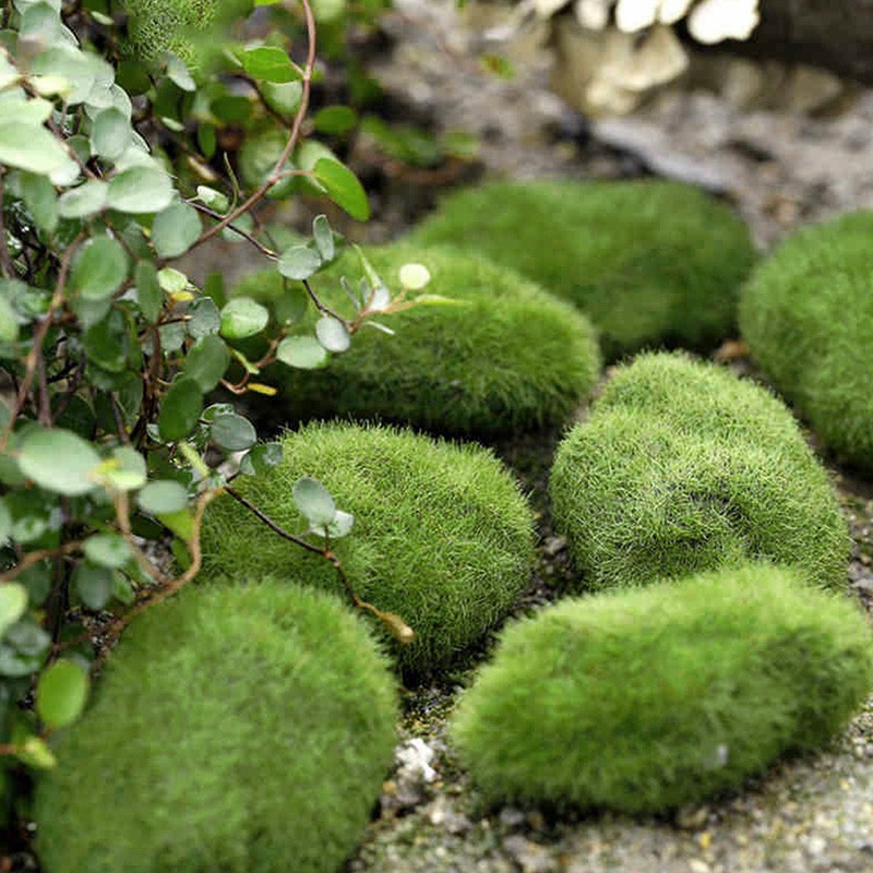 5pcs Artificial Moss Rock Fake Green Moss Stone for Garden Decor Pot Decoration