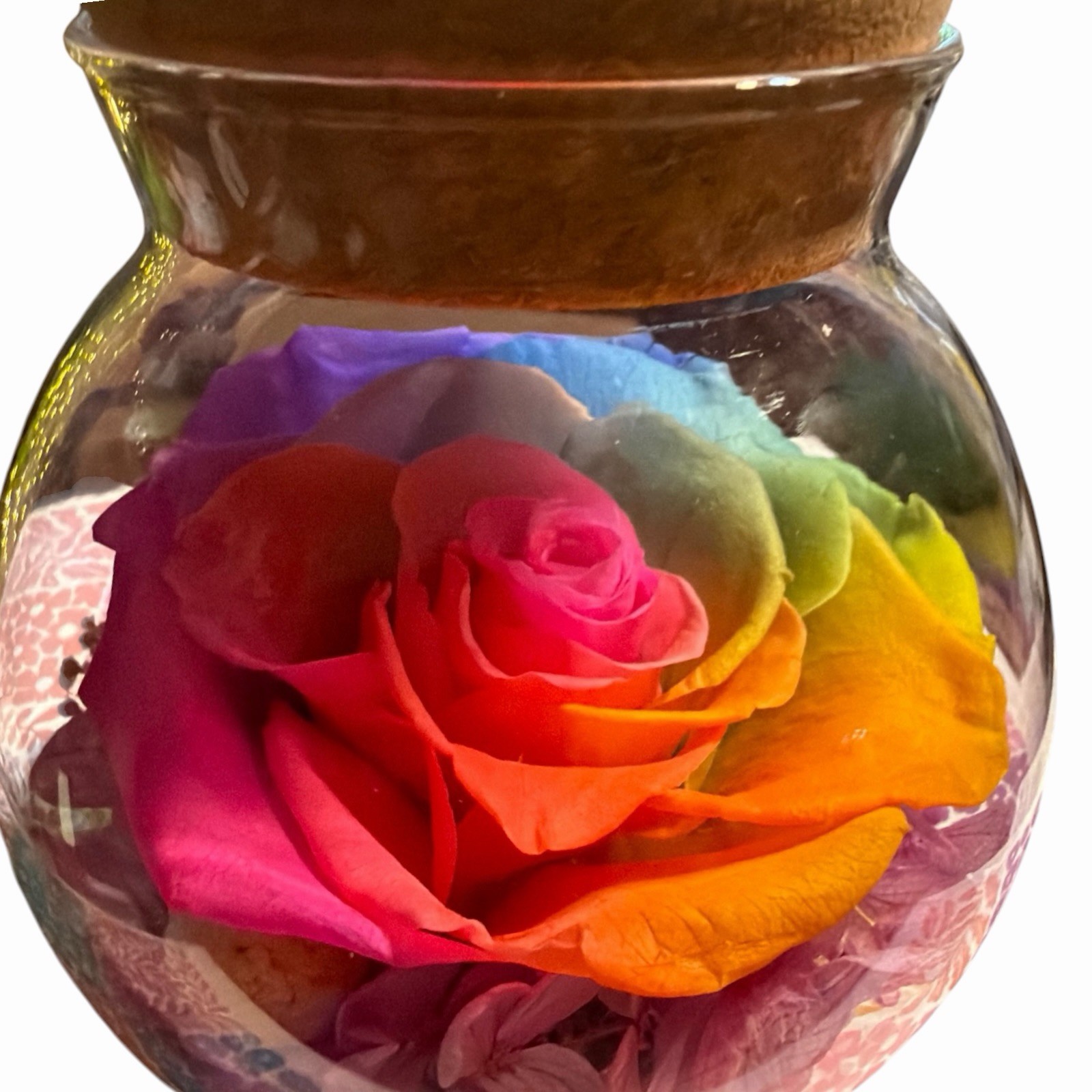 Real Preserved Rose Globe Eternal Rose Multicolor With Light Forever Flowers