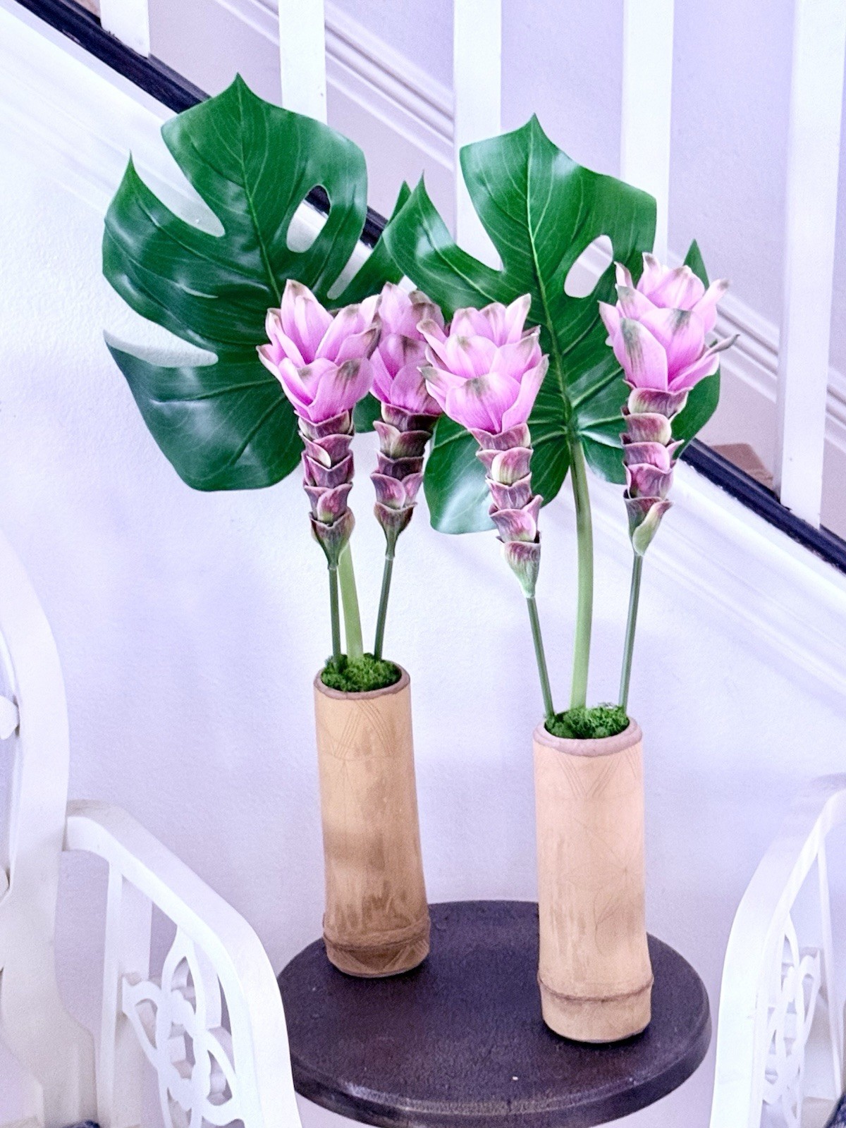 Siam Tulip In bamboo