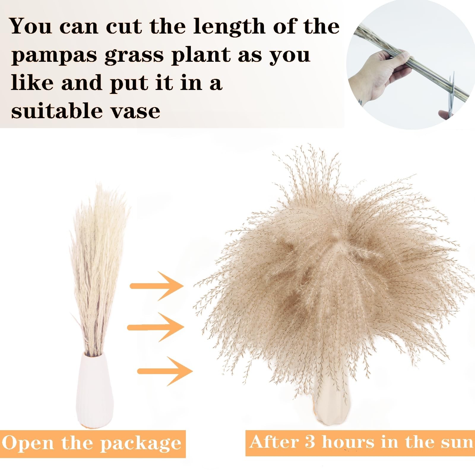 Dried Pampas Grass Decor, 128PCS Pampas Grass with Bunny Tails Dried Flowers,…