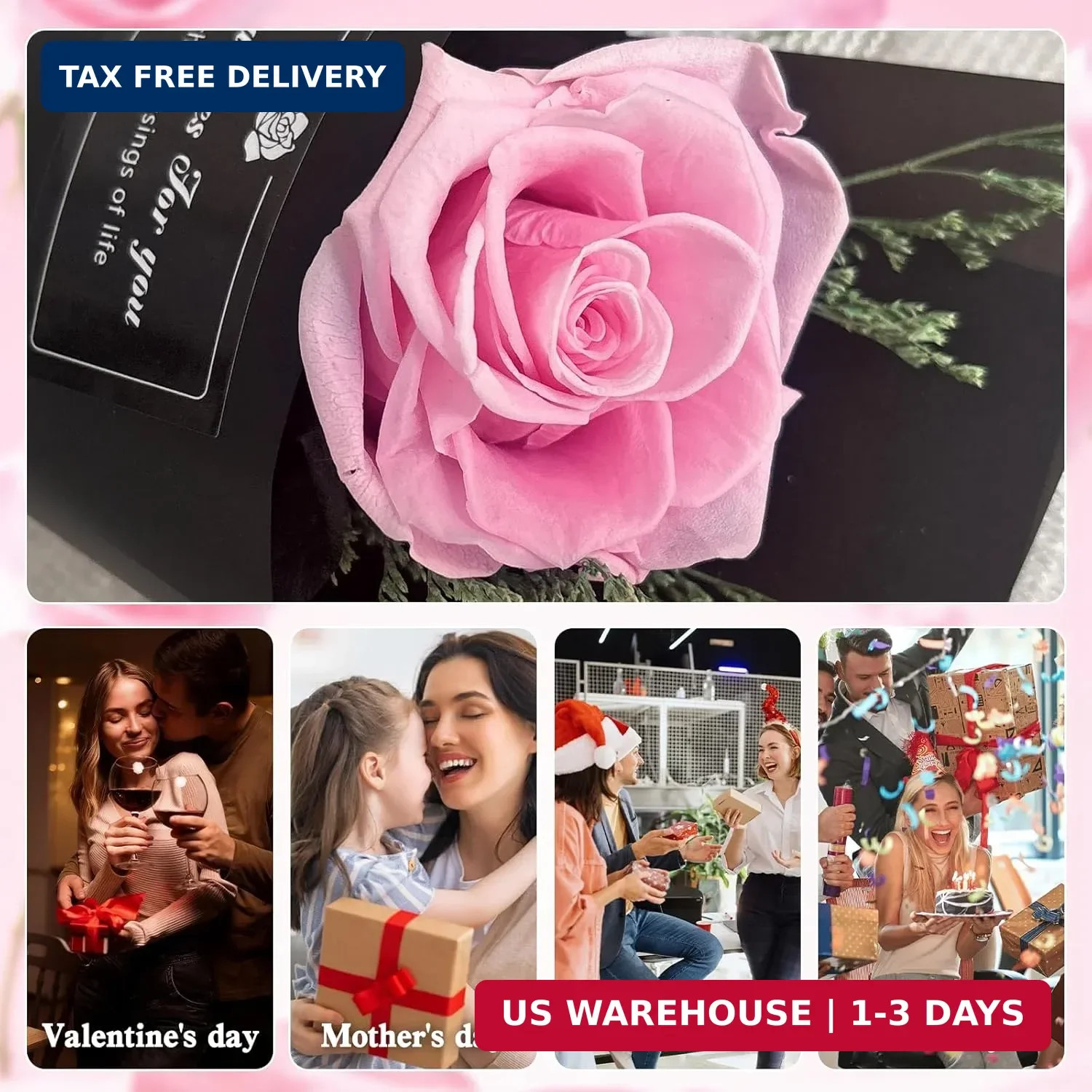 Real Pink Forever Flower Roses for Delivery Prime – Preserved Roses Eternal in G
