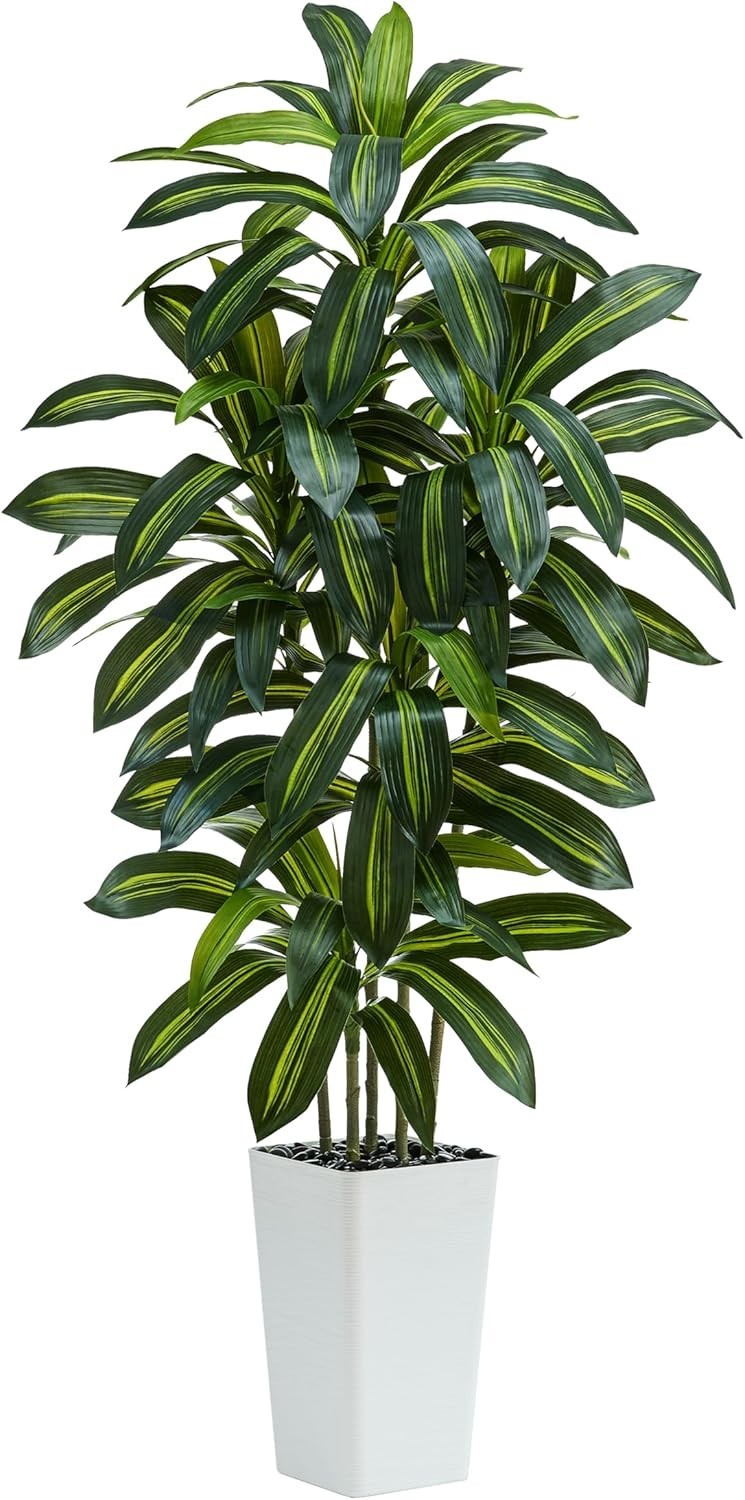 Weather Resistant 6FT Dracaena Tree with Decorative Pebbles – All-Season Appeal